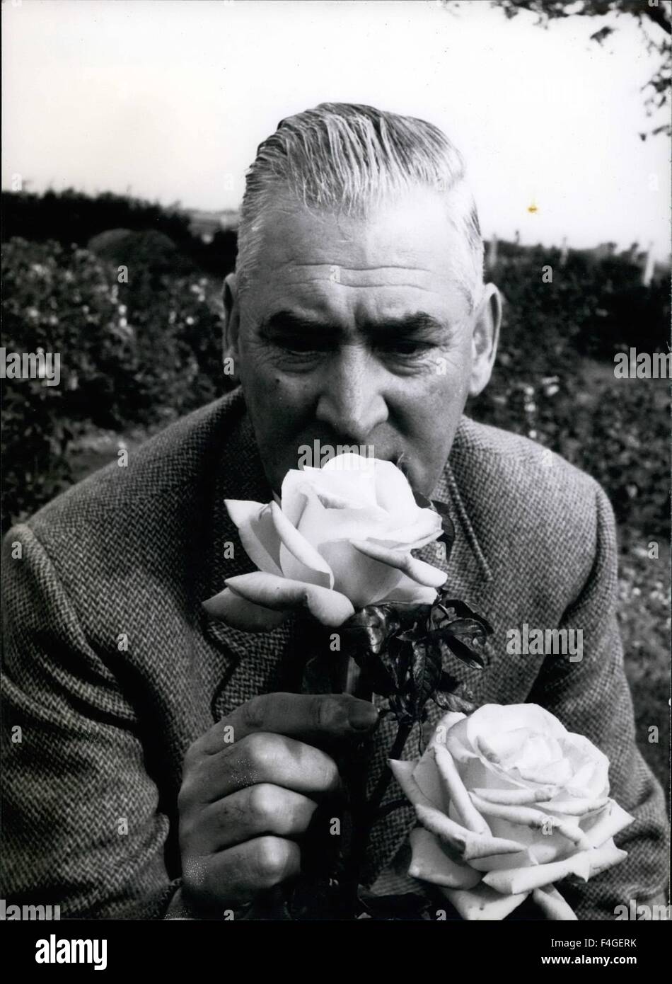 1958 - Mr. Harry Edland, Secretary of the National Rose Society with a ...