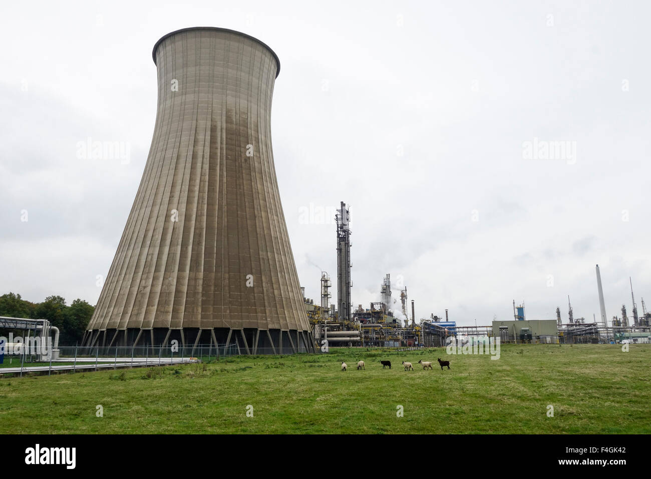 Part of industrial chemical complex, with Cooling tower at chemical factory, DSM. Geleen, Limburg, Netherlands. Stock Photo