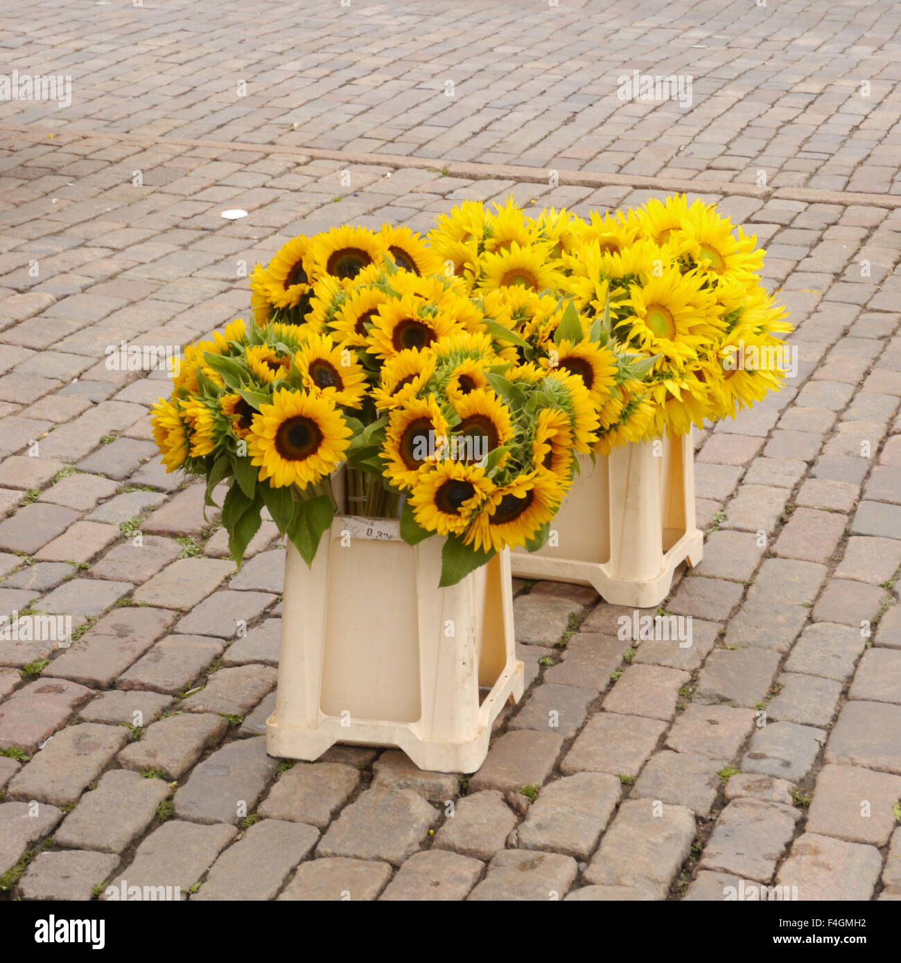 Two large bunches of sunflowers for sale outdoors Stock Photo Alamy