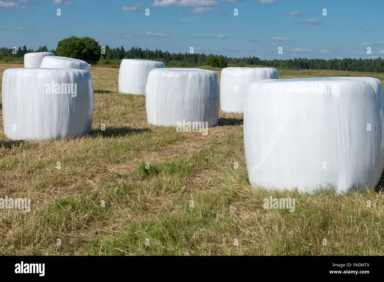 Hay Bale Plastic Wrap Stock Photos & Hay Bale Plastic Wrap Stock Images