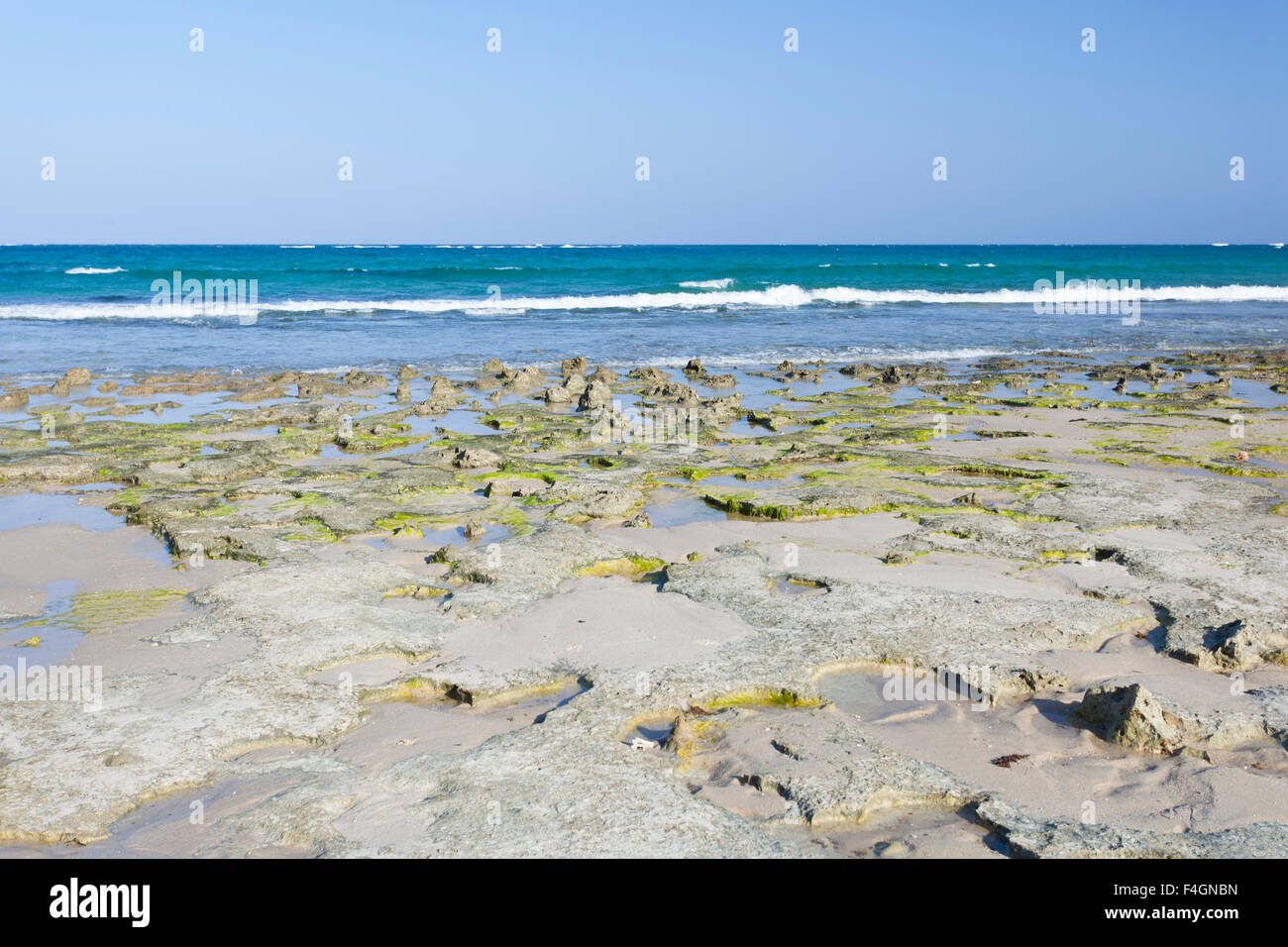 Algae covered coral blocks at Diani Beach near Ukunda, Kenya Stock Photo