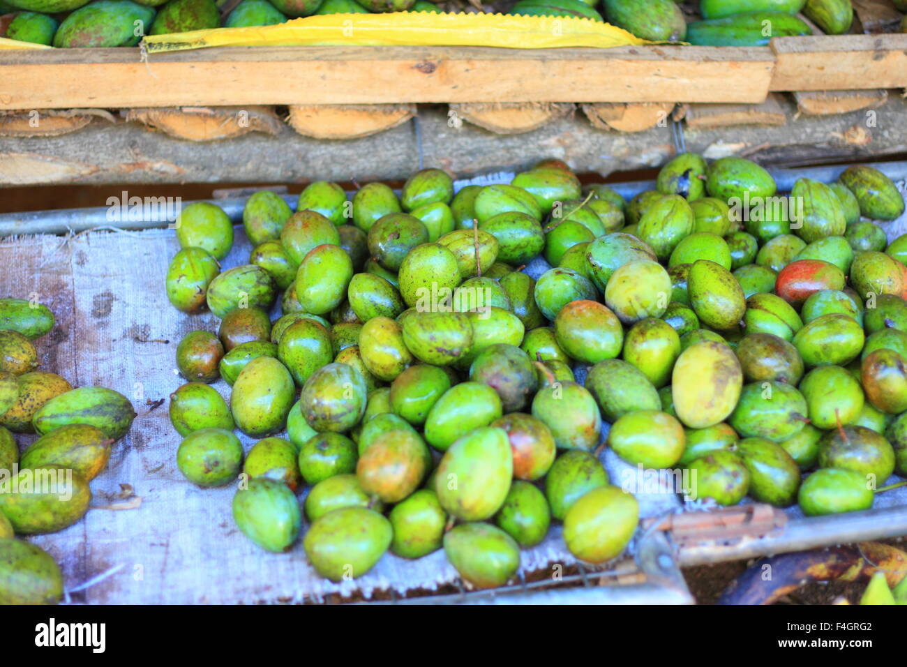 Mango Fruit shop in Sri Lanka Stock Photo