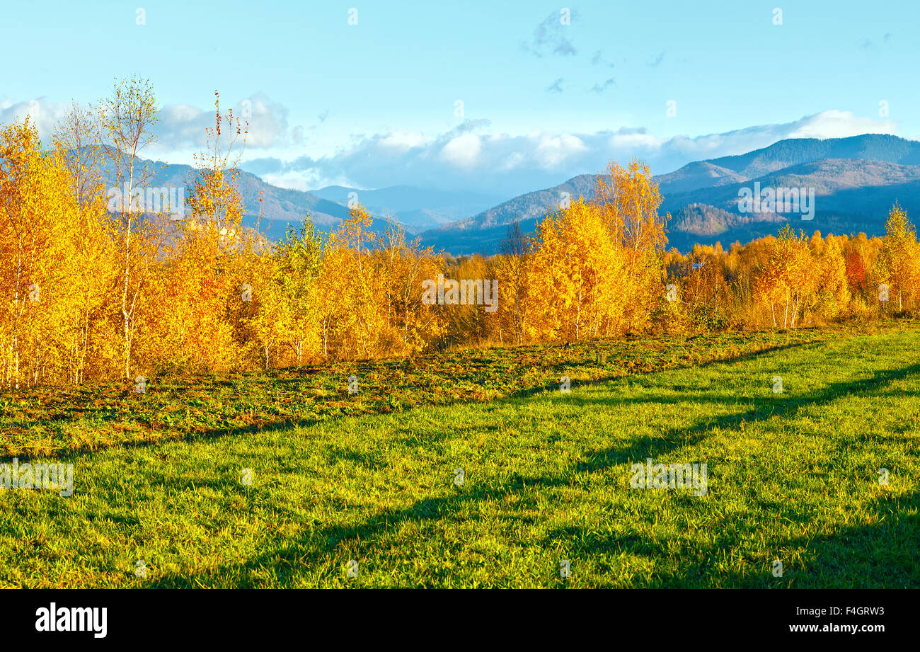 Morning autumn Carpathian mountain view with yellow trees (Ukraine) Stock Photo