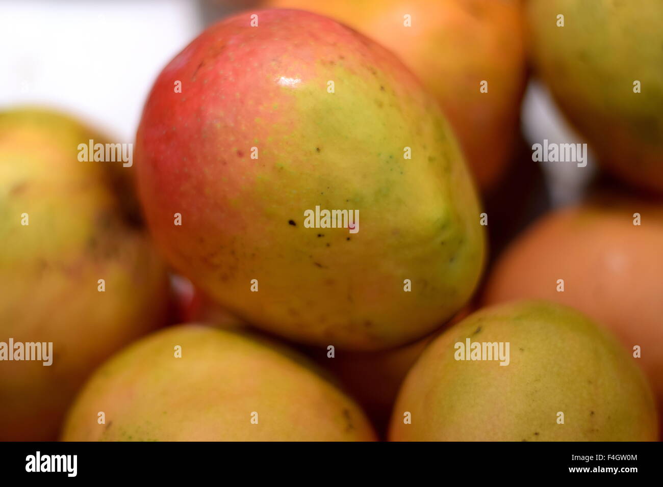 Fresh Indian Mango ready for Sale Stock Photo Alamy