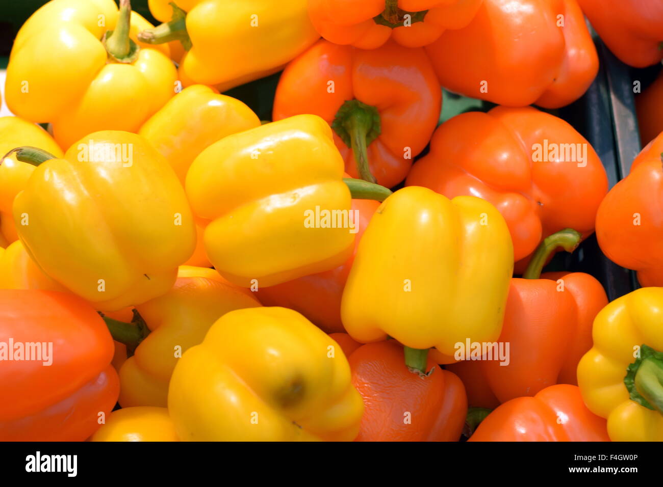 Fresh Bell Paper ready for sale Stock Photo - Alamy