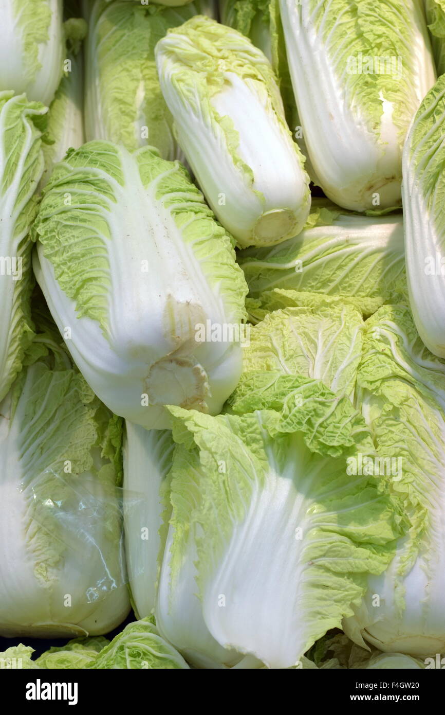 Unopened Cabbage Fresh Cabbage ready for sale Stock Photo - Alamy