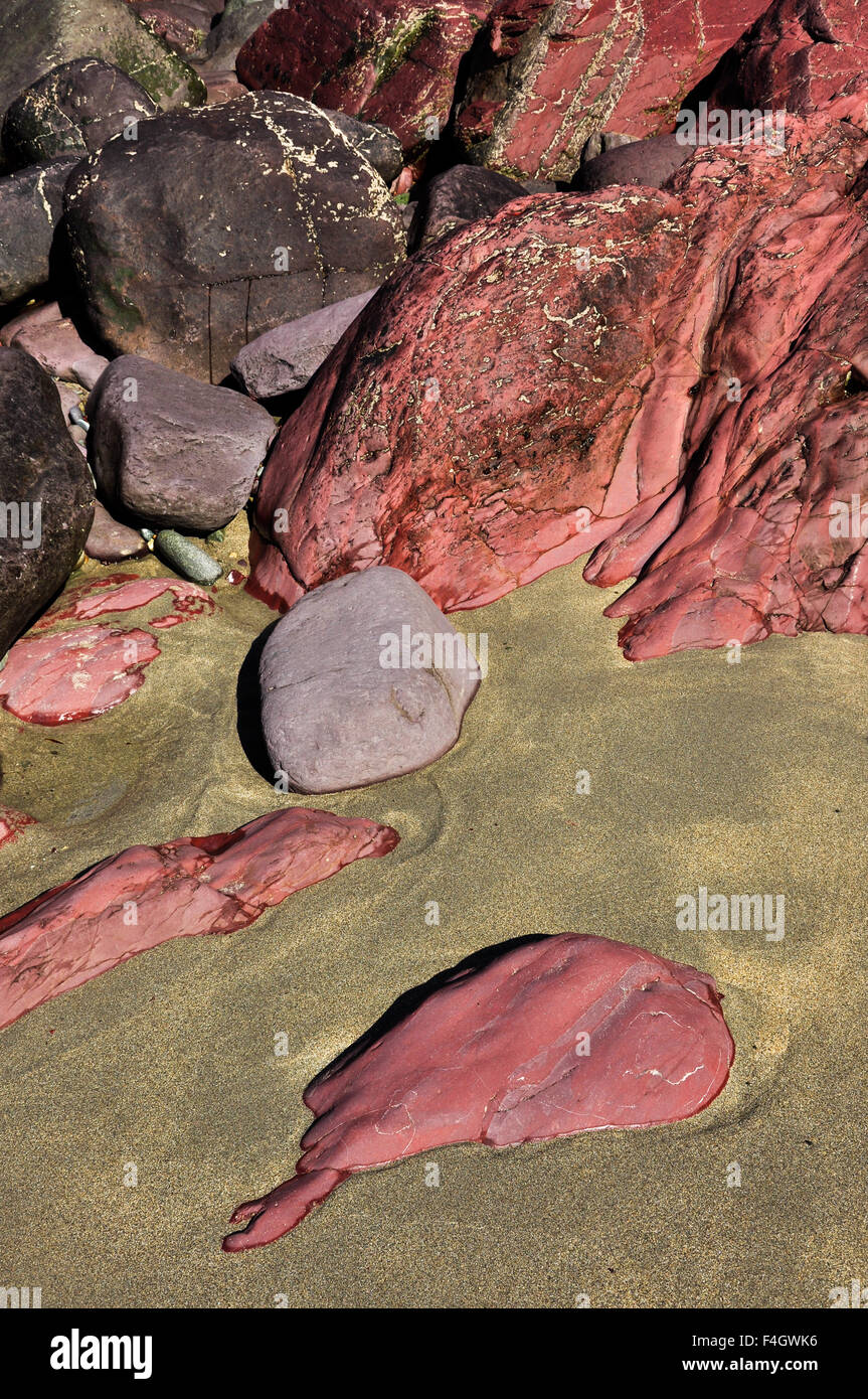 Caerfai beach near St Davids in Pembrokeshire, Wales. A beautiful beach with interesting geology. Stock Photo