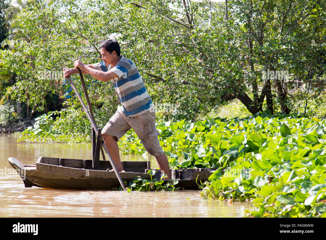 vietnamese man rowing his boat on rhe mekong delta river in south west vietnam,asia Stock Photo
