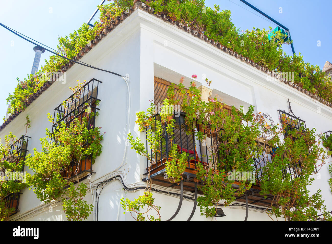 Typical windows with grilles and decorative flowers in the city of Cordoba, Spain Stock Photo