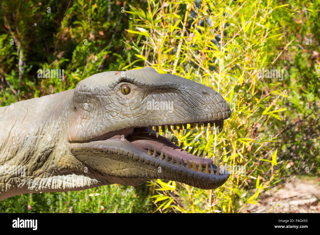 fearsome carnivore dinosaur Tyrannosaurus Rex Stock Photo