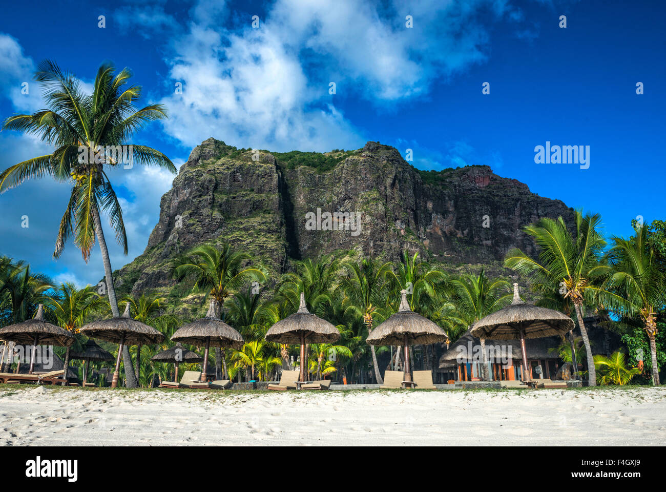The Le Mont Brabant mountain in Mauritius rising behind palm trees on the sandy beach Stock Photo