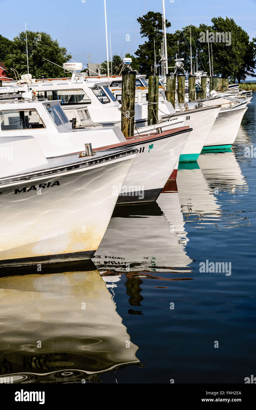 Crab boats, Tilghman Island, Maryland Stock Photo Alamy