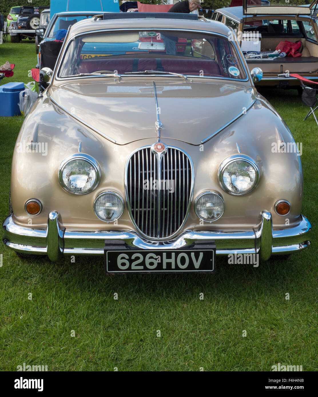 Gold jaguar m2 hires stock photography and images Alamy