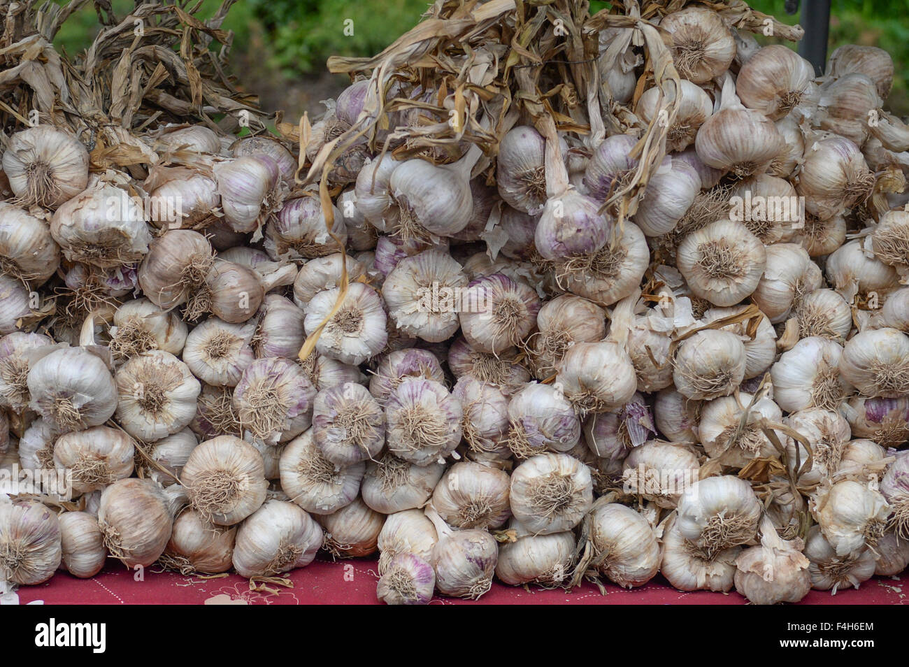 French stereotype hi-res stock photography and images - Alamy