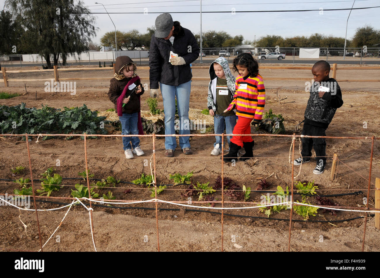 Elementary School Students Learn About Gardening At Tucson Village
