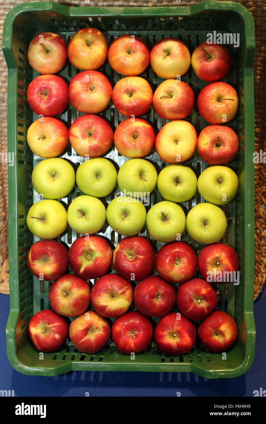 Various apples in crates at farmers market Stock Photo Alamy