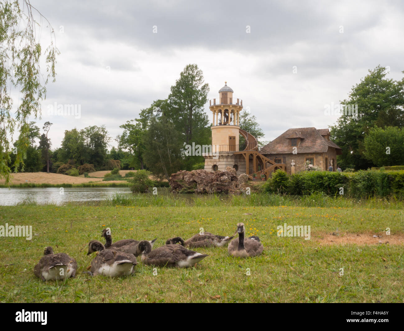 Ducks by the lake at Marie-Antoinette's estate Stock Photo