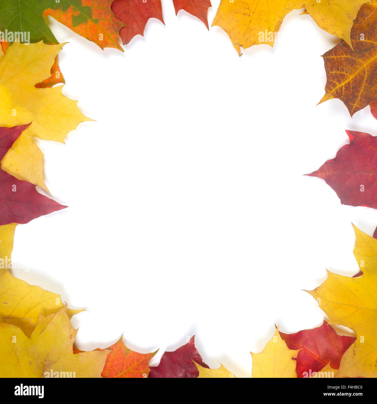 Frame of colorful autumn leaves isolated on white background Stock ...