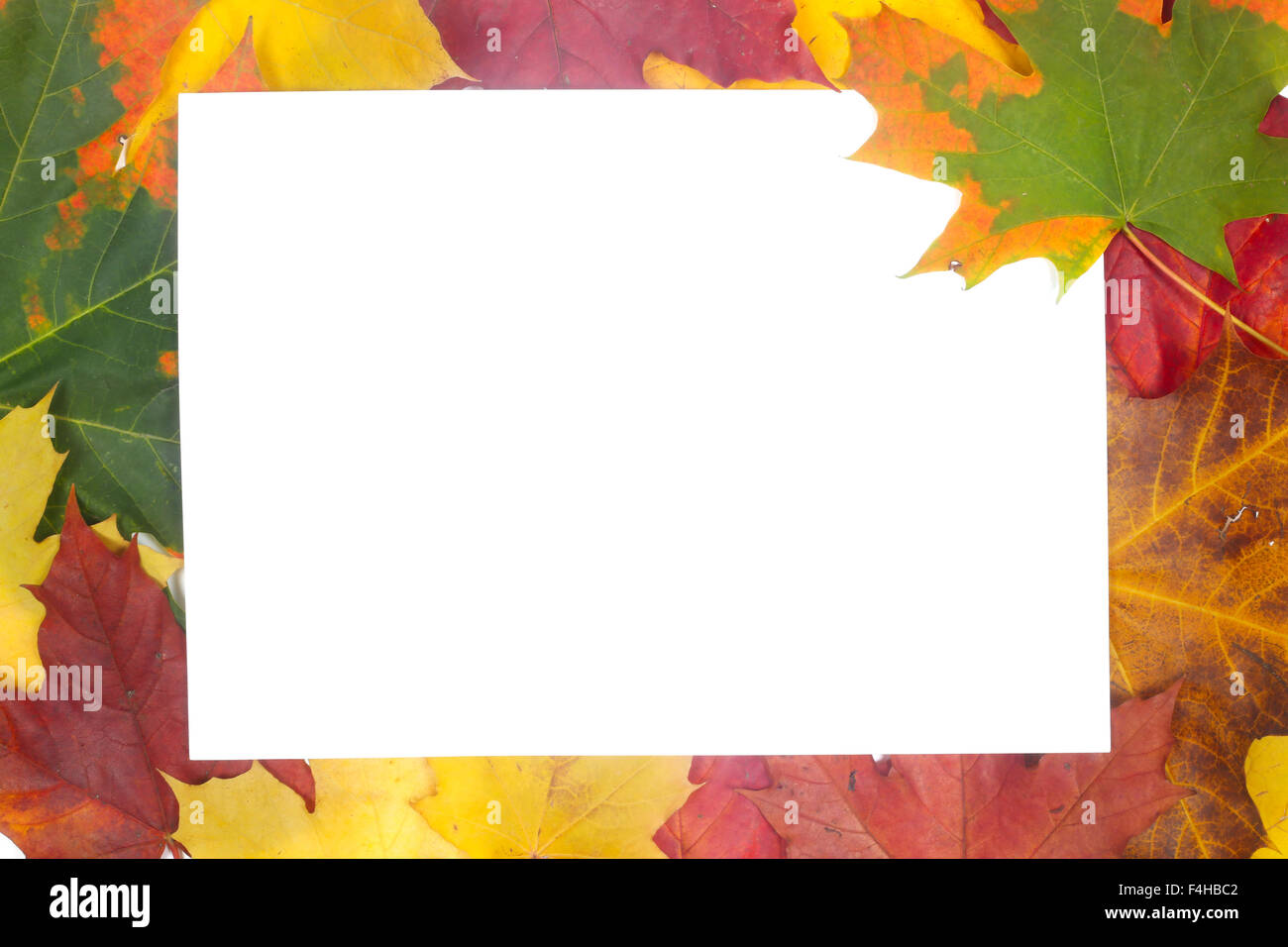 Frame of colorful autumn leaves isolated on white background Stock ...