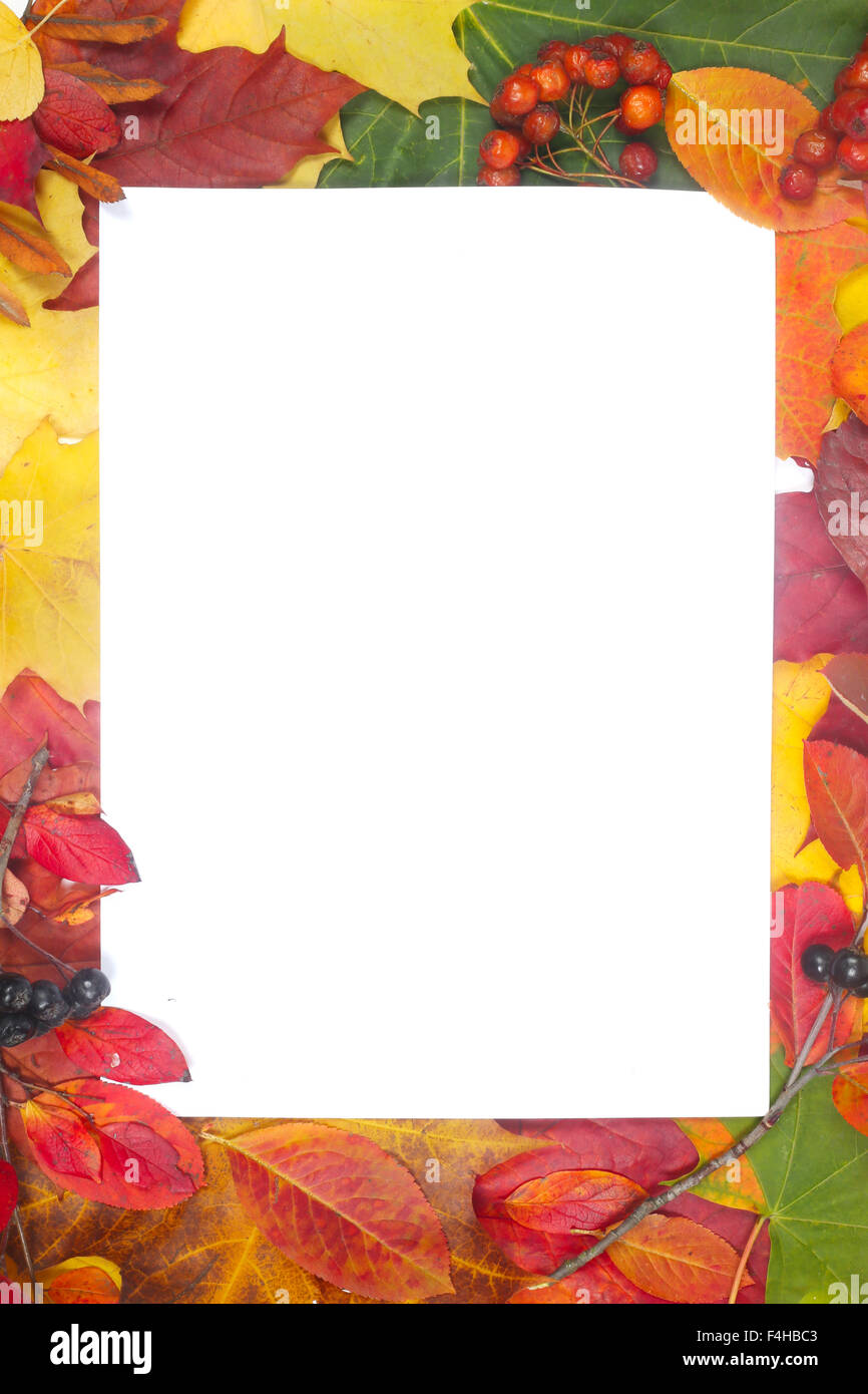 Frame of colorful autumn leaves isolated on white background Stock ...