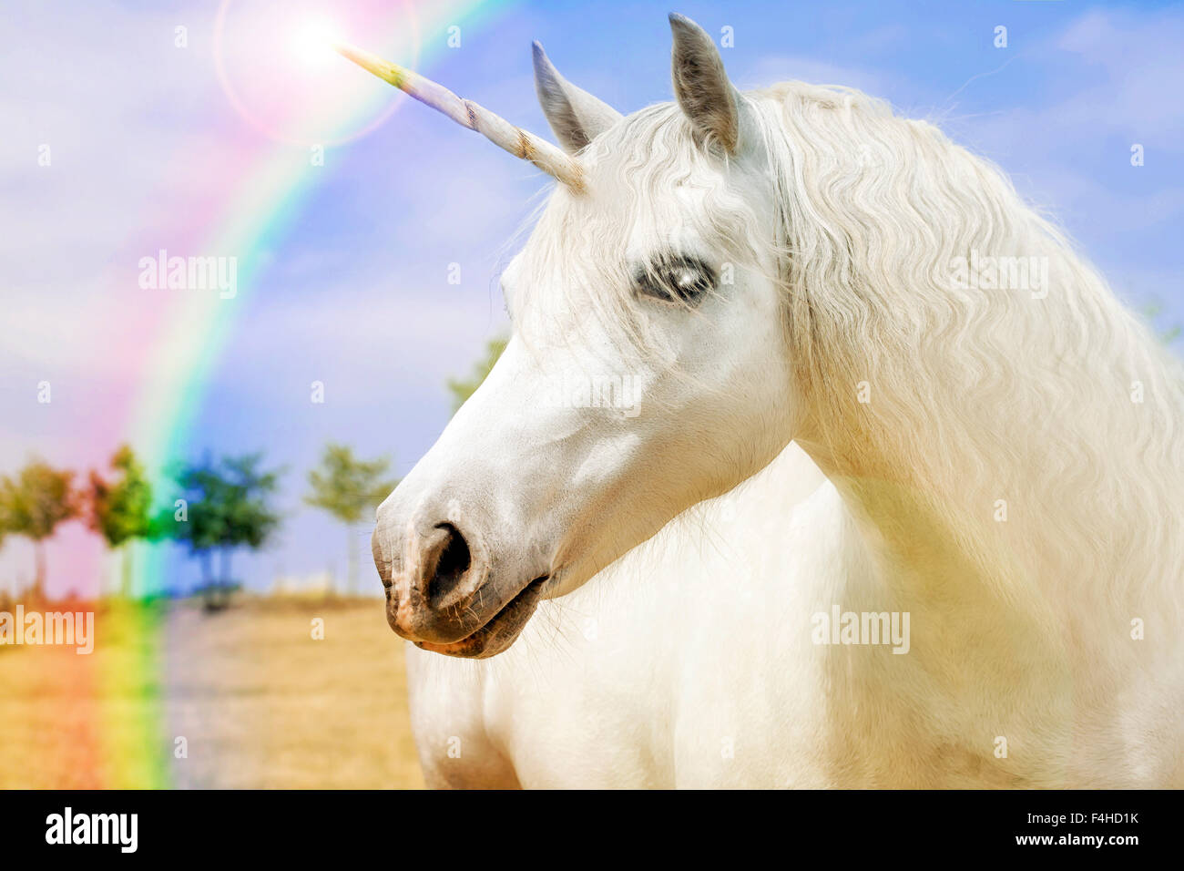 Realistic Unicorn digital photo Illustration Stock Photo - Alamy