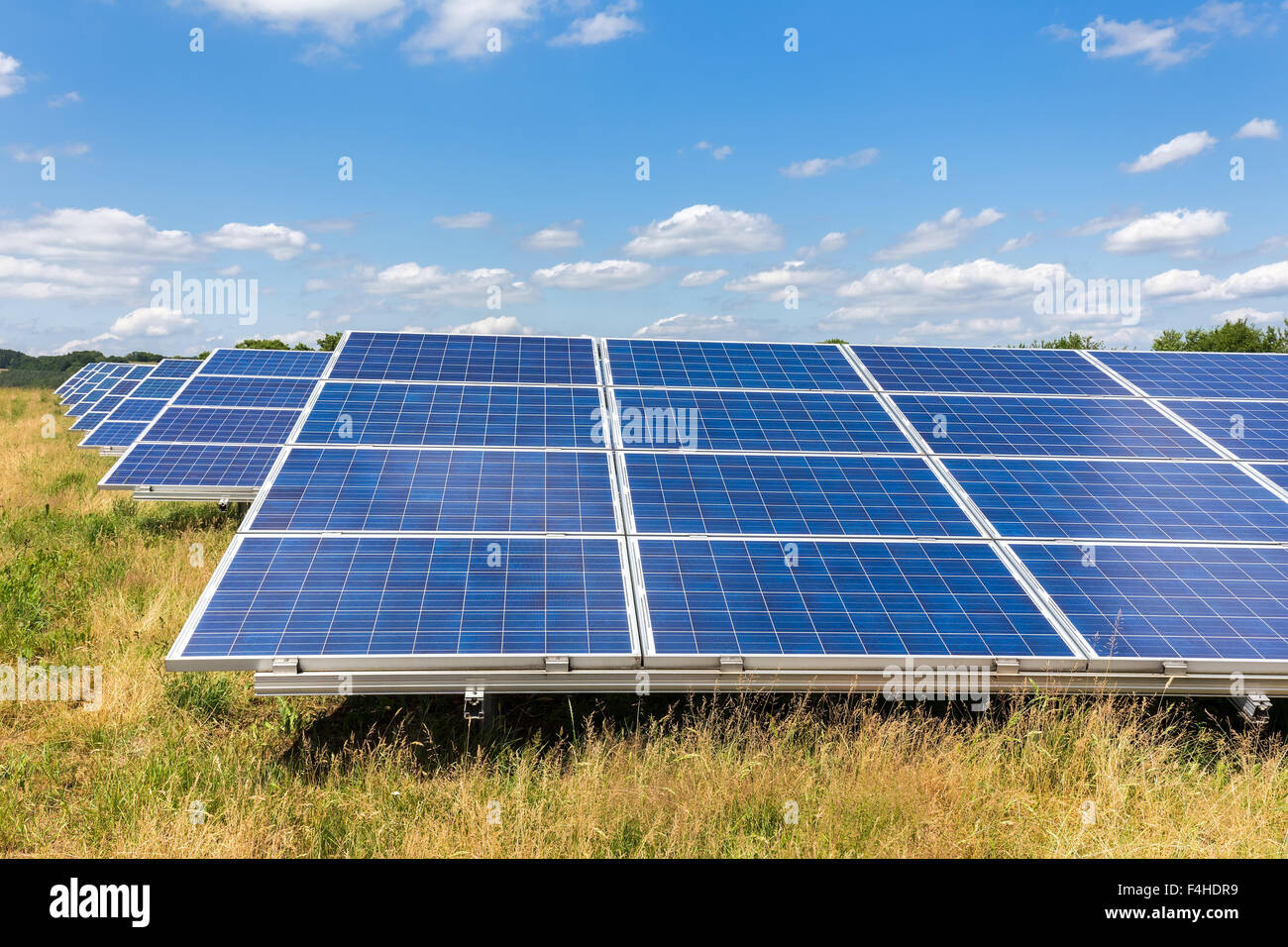Field with rows of blue solar panels in grassland Stock Photo
