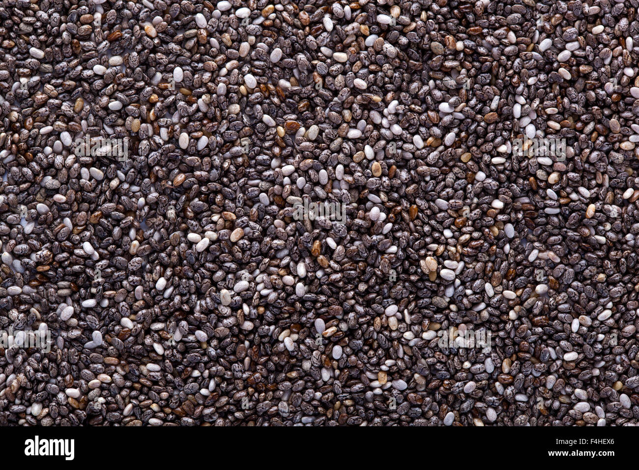 Dry chia seeds background, macro Stock Photo Alamy