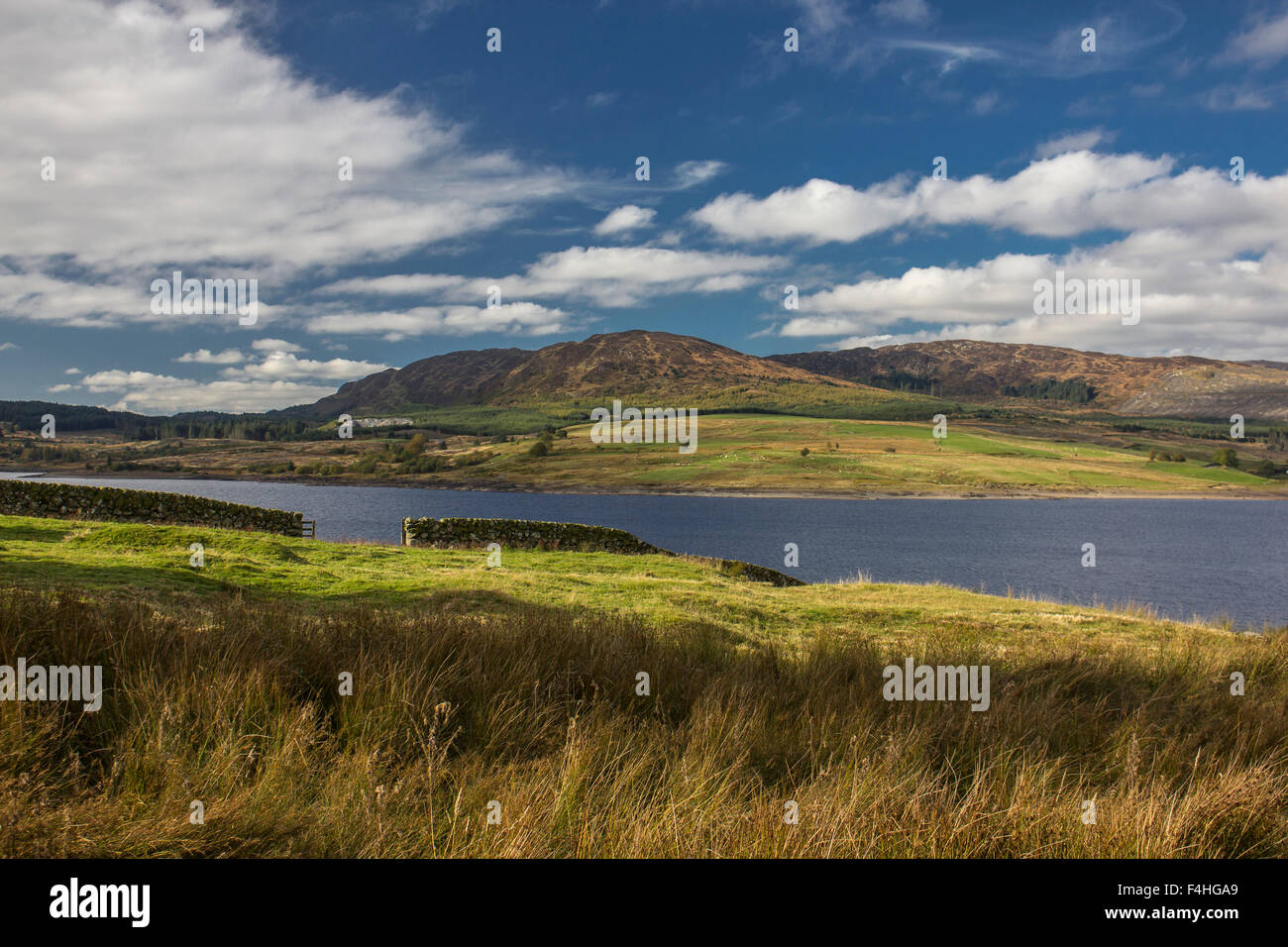 Clatteringshaws Loch from Benniguinea in the Galloway Forest Park, Dumfries  and Galloway, Scotland, UK Stock Photo - Alamy