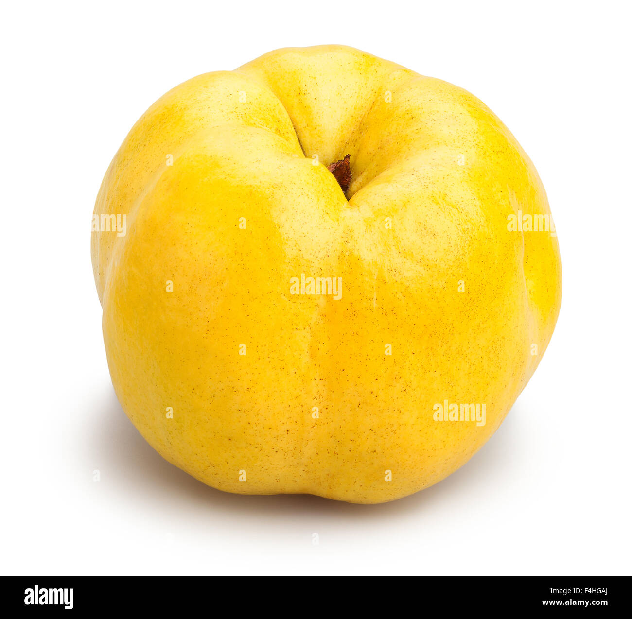 quince isolated Stock Photo