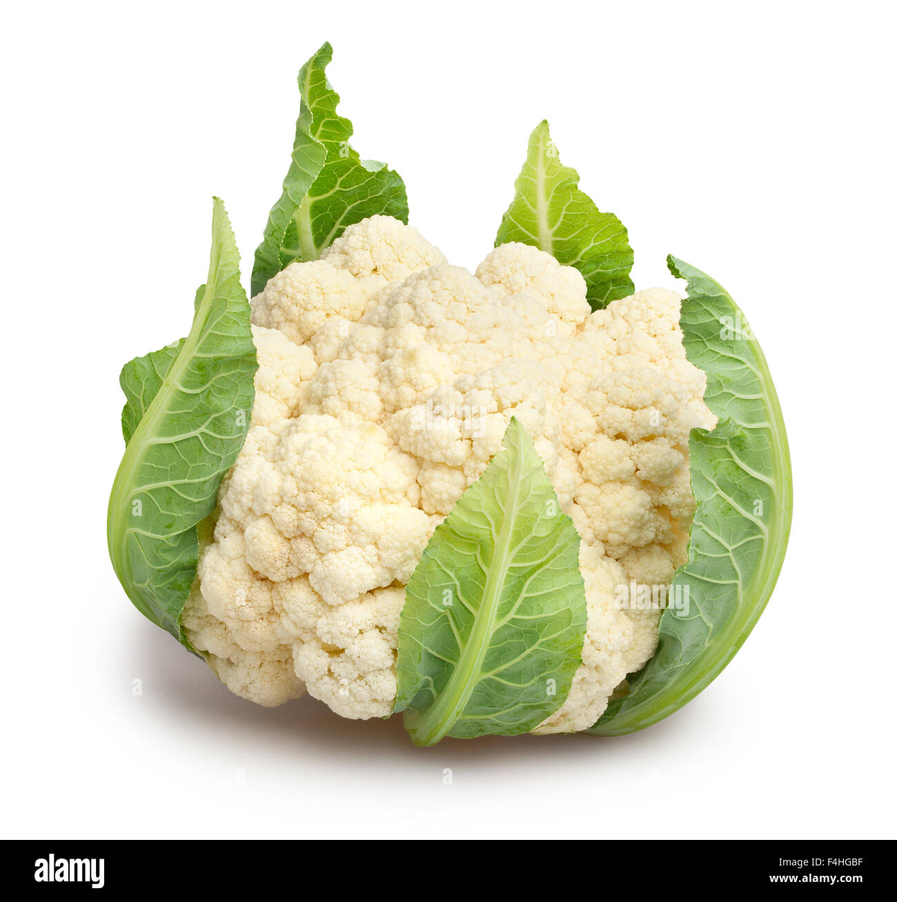 cauliflower isolated Stock Photo