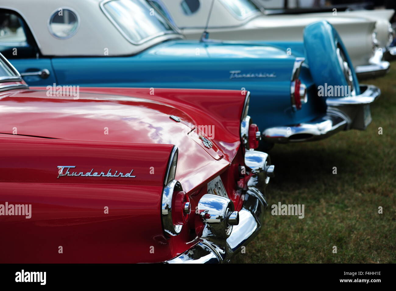 1950s ford thunderbird High Resolution Stock Photography and Images - Alamy