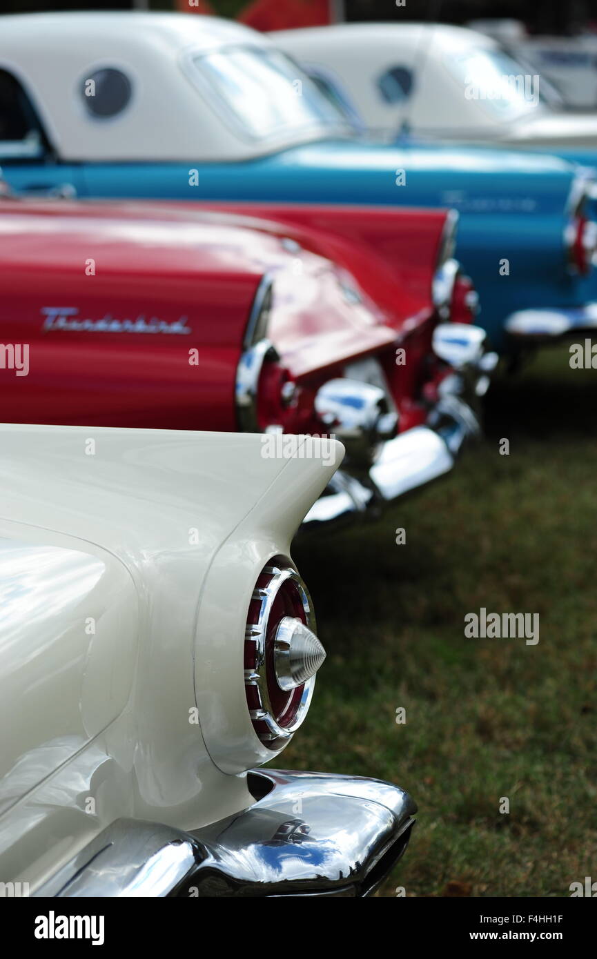 1950s ford thunderbird High Resolution Stock Photography and Images - Alamy