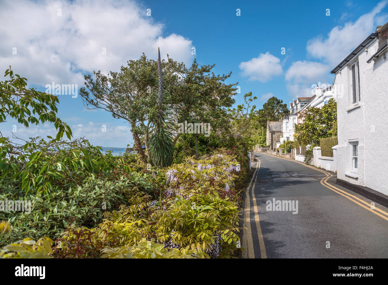 Scenic coastal street at the fishing village St.Mawes, Cornwall, England, UK | Malerische Kuestenstrasse in St.Mawes, Cornwall Stock Photo