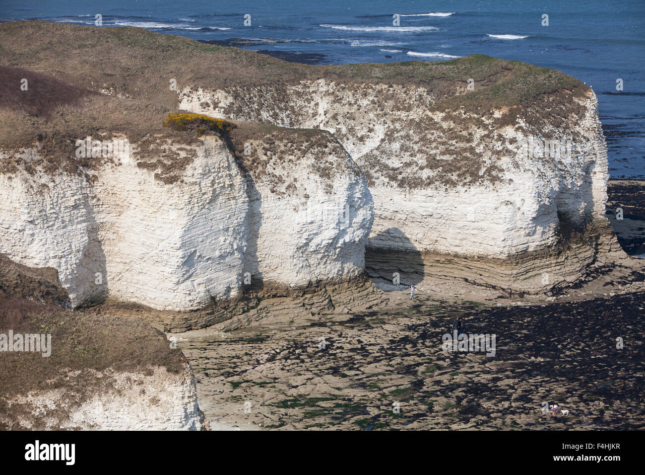 Chalk cliffs at Flamborough Head, Holderness coastline in East Stock
