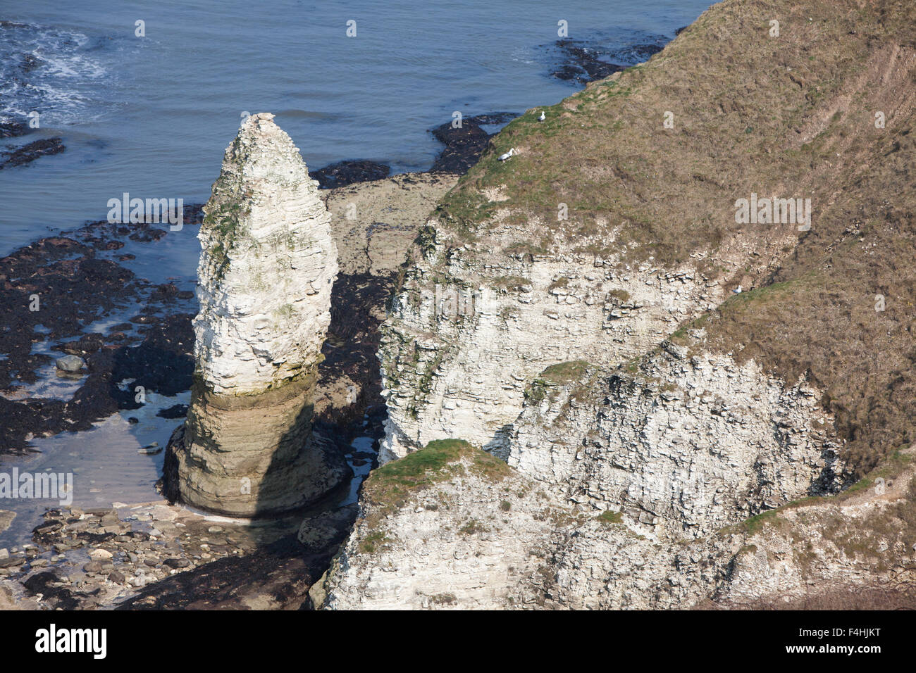 Chalk cliffs at Flamborough Head, Holderness coastline in East