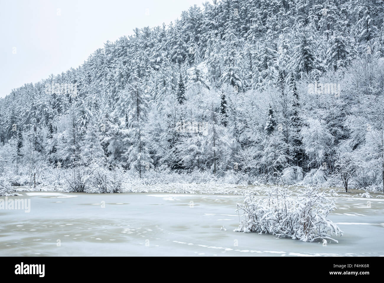 bwood hires stock photography and images Alamy