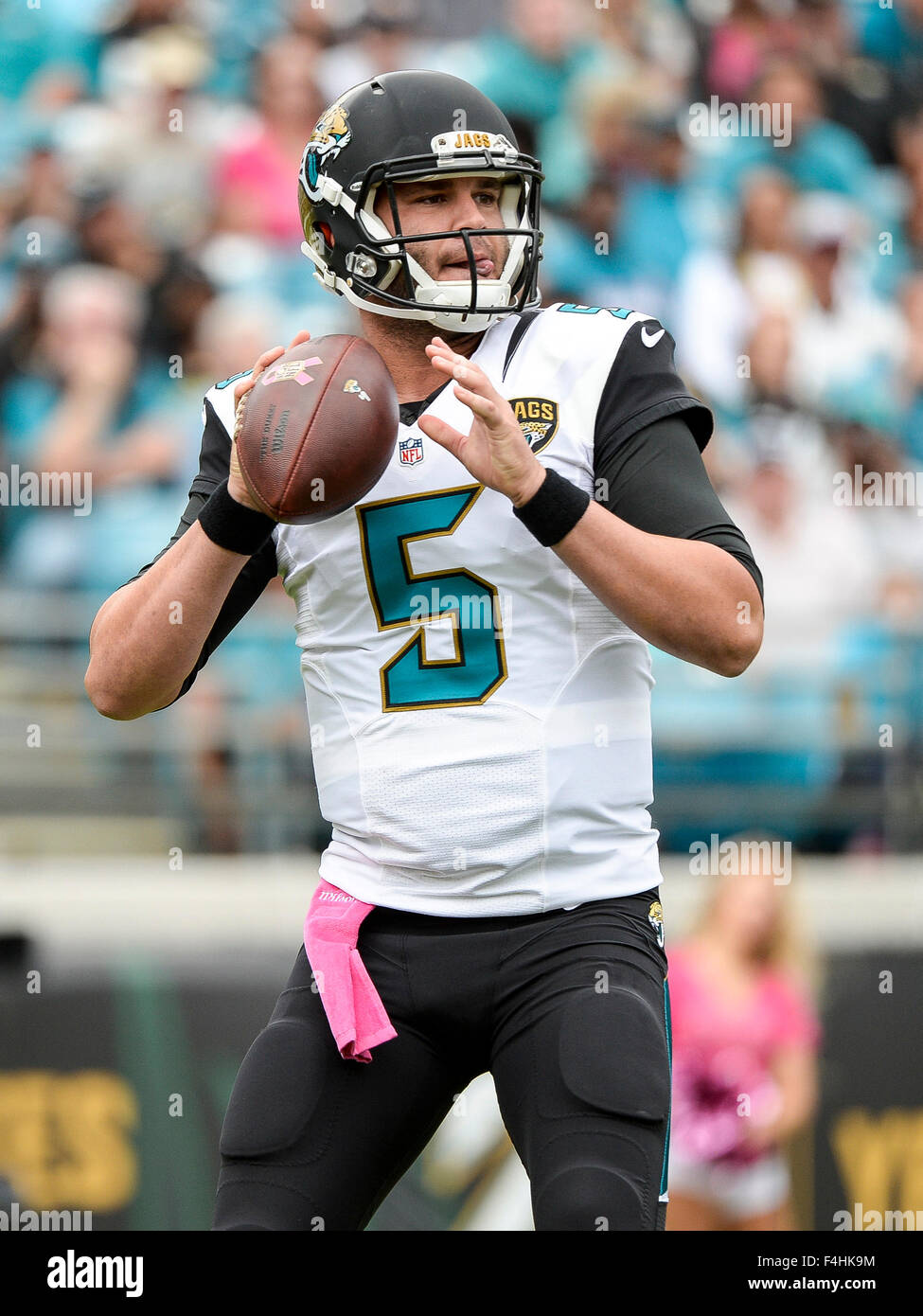 jacksonville jaguars jersey 2015