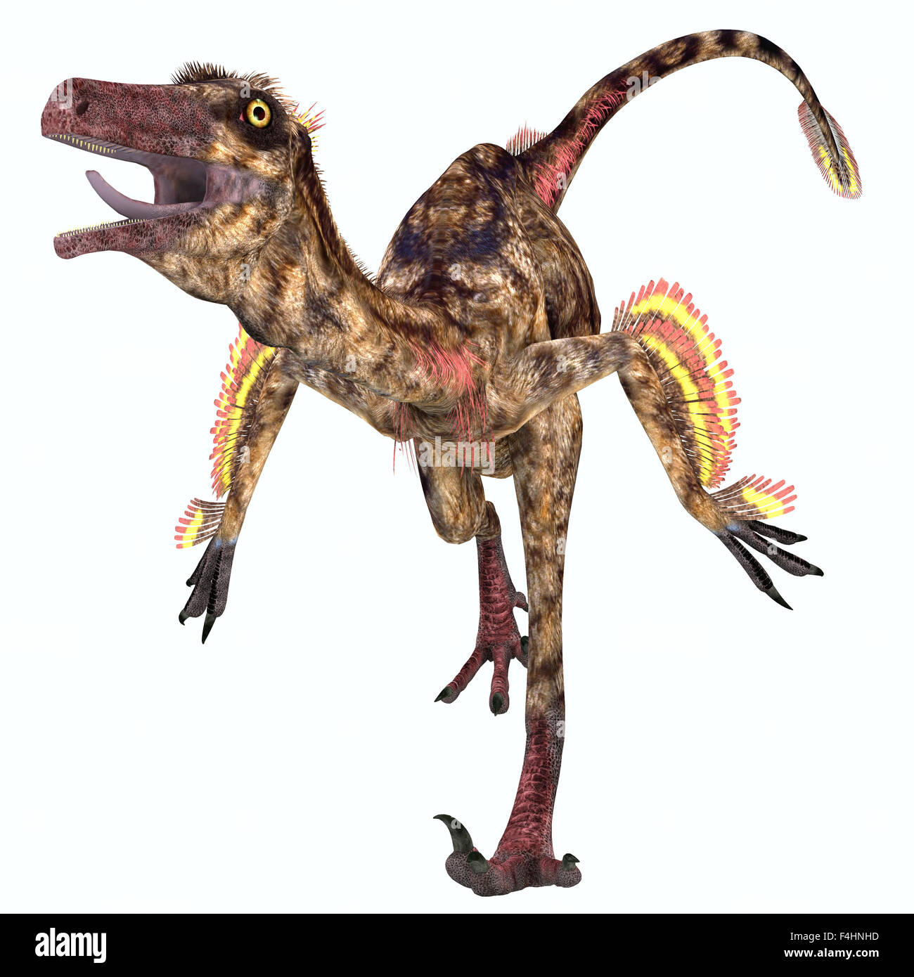 Troodon was a carnivorous small dinosaur that lived in North America during the Cretaceous Period. Stock Photo