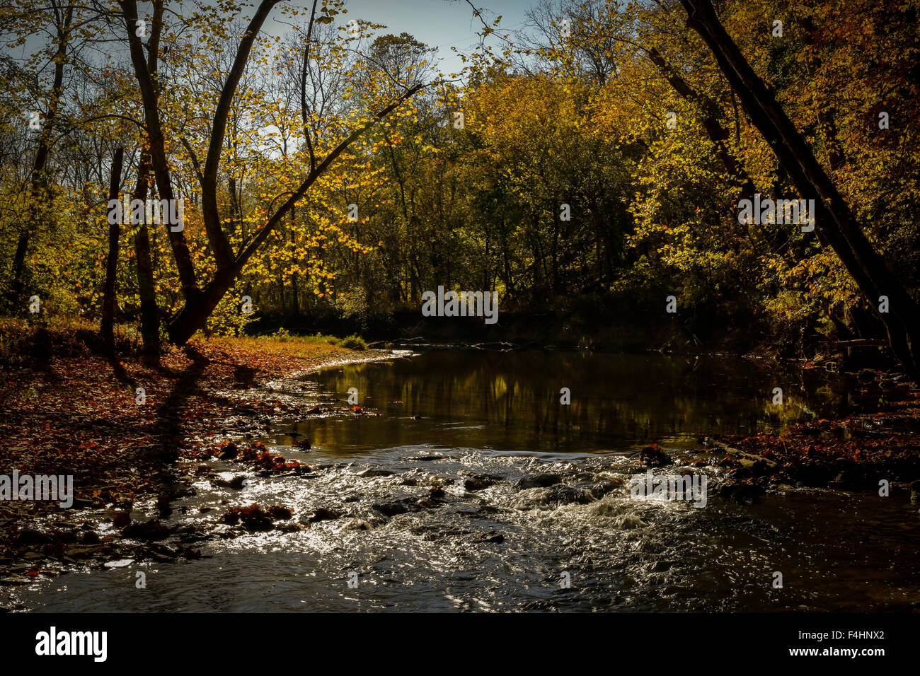 Bloomington, Indiana. 18th Oct, 2015. Fall colors at the Cedar Bluff Nature  Preserve near Bloomington, Indiana. Credit: Jeremy Hogan/Alamy Live News  Stock Photo - Alamy