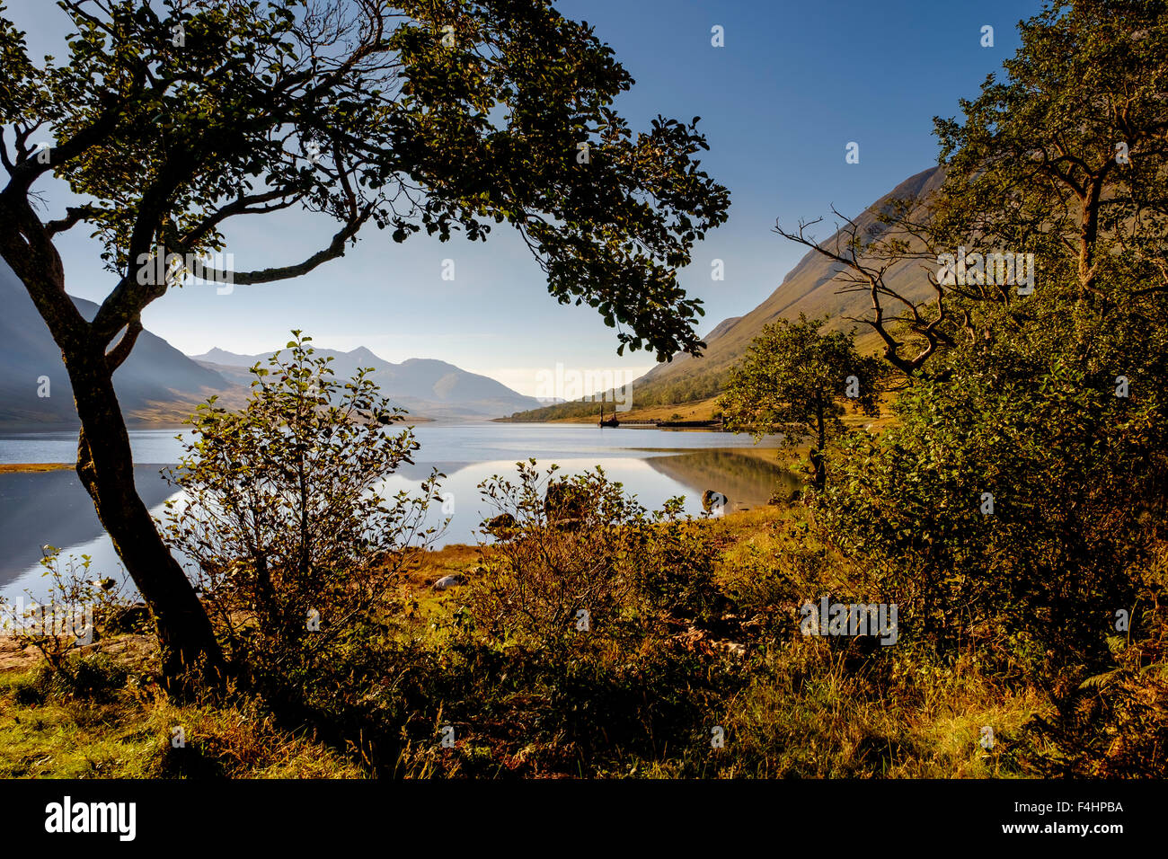 Loch Etive in autumn at the end of Glen Etive, Highlands of Scotland
