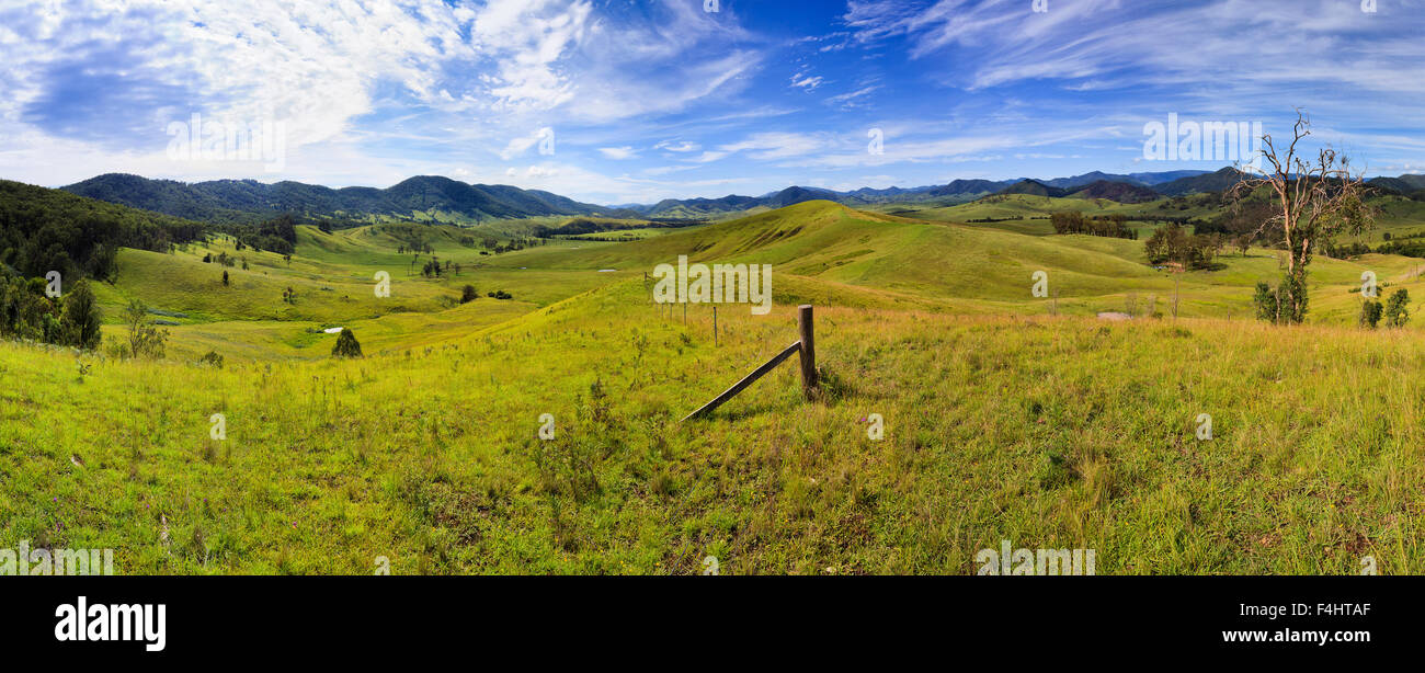 sunny summer day over green grazing agriculture valley in Barrington tops rural NSW of Australia Stock Photo