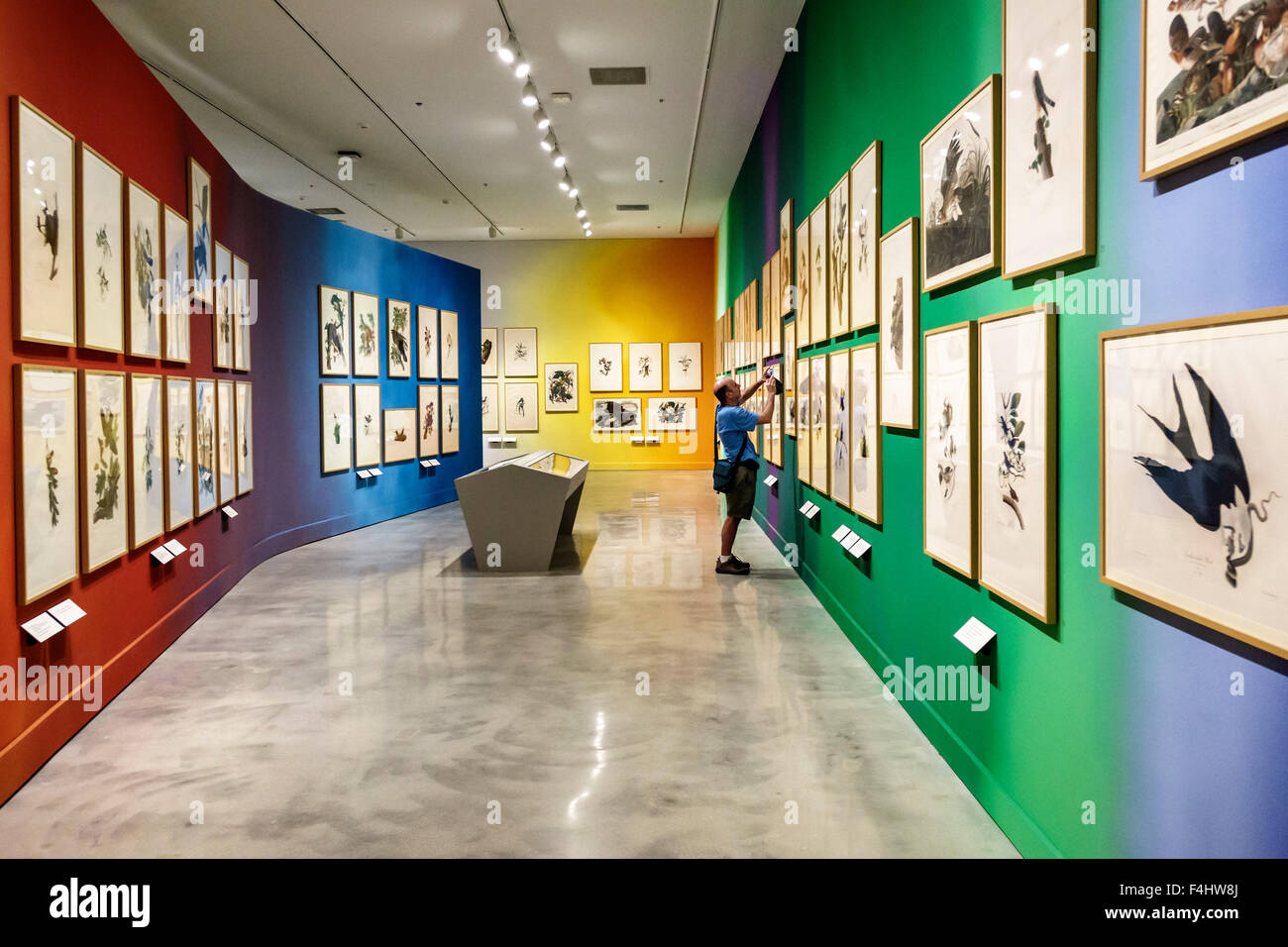 Miami FloridaDade Cultural Center centre HistoryMiami Museum local