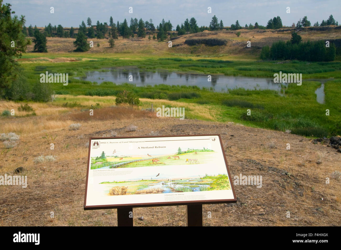 Smick Meadows Wetlands pond with interpretive board, Fishtrap Recreation Area, Spokane District BLM, Washington Stock Photo