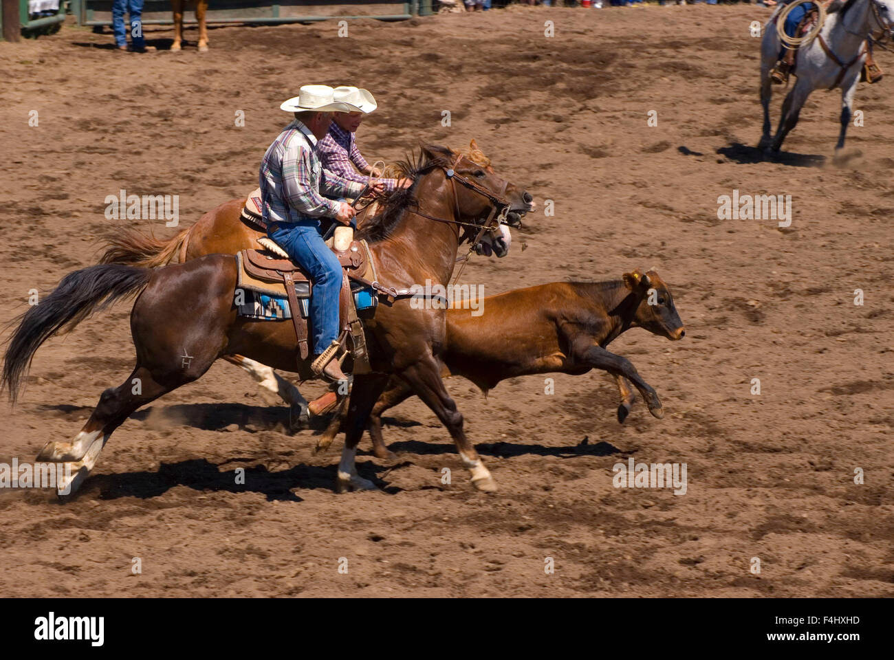 Ketchum Kalf Rodeo, Glenwood, Washington Stock Photo Alamy