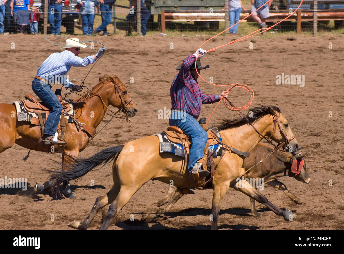Ketchum Kalf Rodeo, Glenwood, Washington Stock Photo Alamy