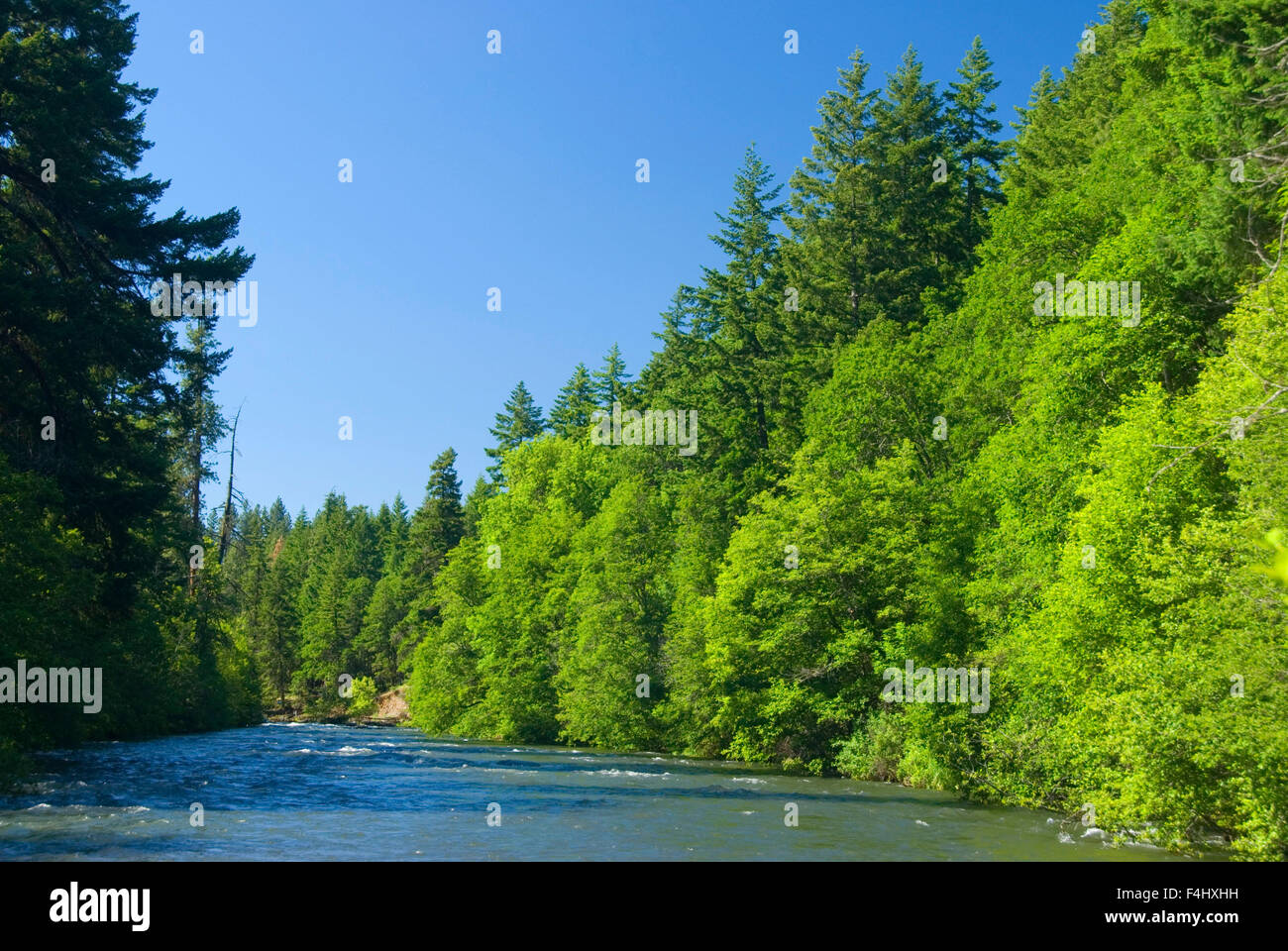 White Salmon River at Husom, White Salmon Wild and Scenic River