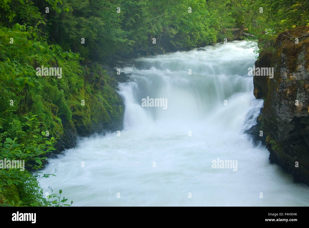 Falls above BZ Corners, White Salmon Wild and Scenic River, Klickitat