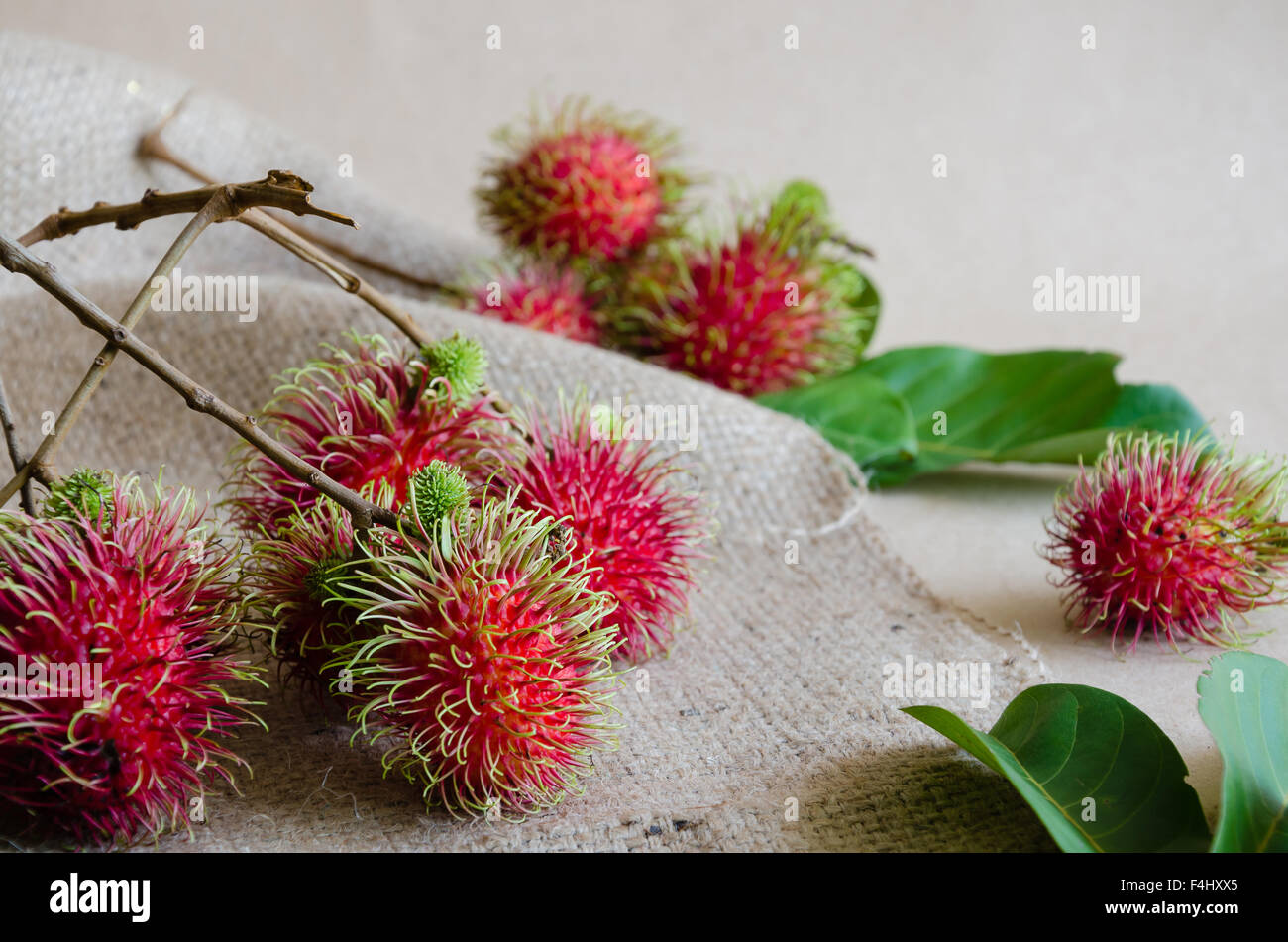 Fresh Rambutan A Tropical Fruit Stock Photo - Alamy