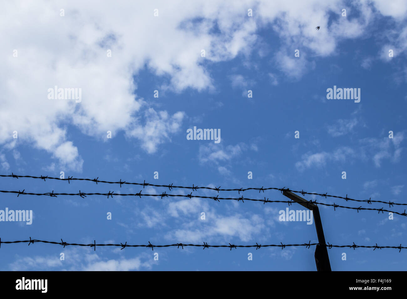 Barbed wire fence with blue sky and clouds in the background Stock ...