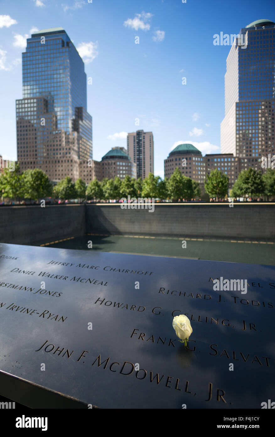 A single yellow rose at the 9/11 memorial in Manhattan, NYC, New York